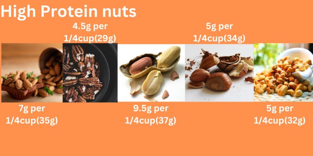 nuts Protein