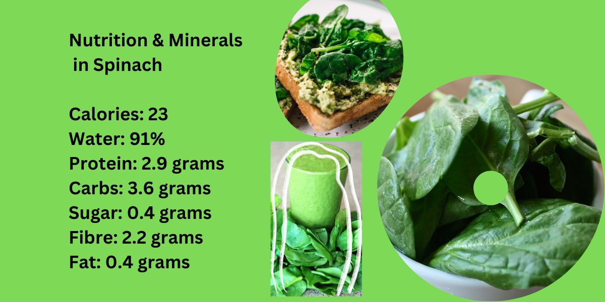 Nutrition & Mineral in Spinach
