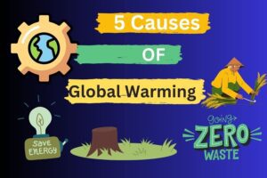 5 Causes of Global Warming 