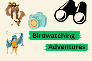 Birdwatching Adventures
