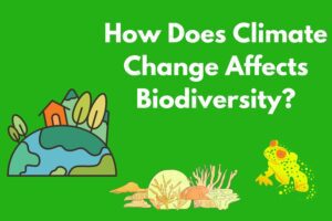 Climate Change Affects Biodiversity