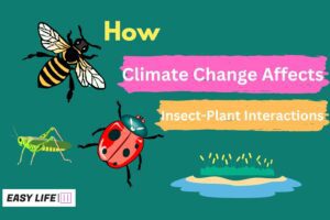 Climate Change Affects Insect-Plant Interactions