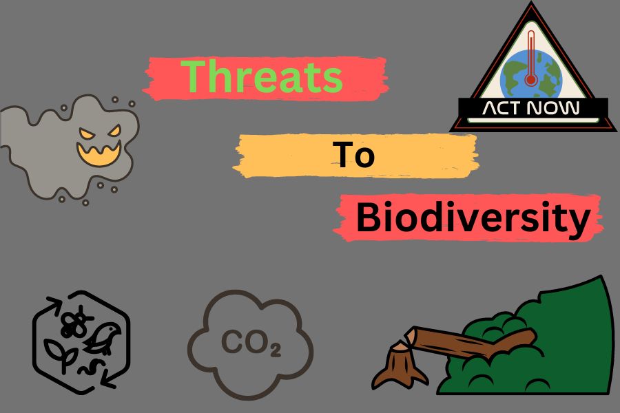 Five Threats to Biodiversity