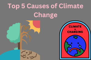 Top 5 Causes of Climate Change