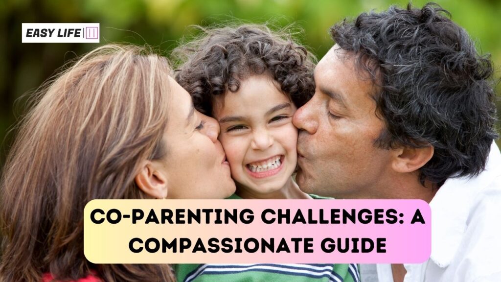 Co-Parenting Challenges
