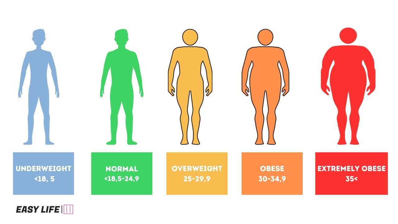 Obesity Measures