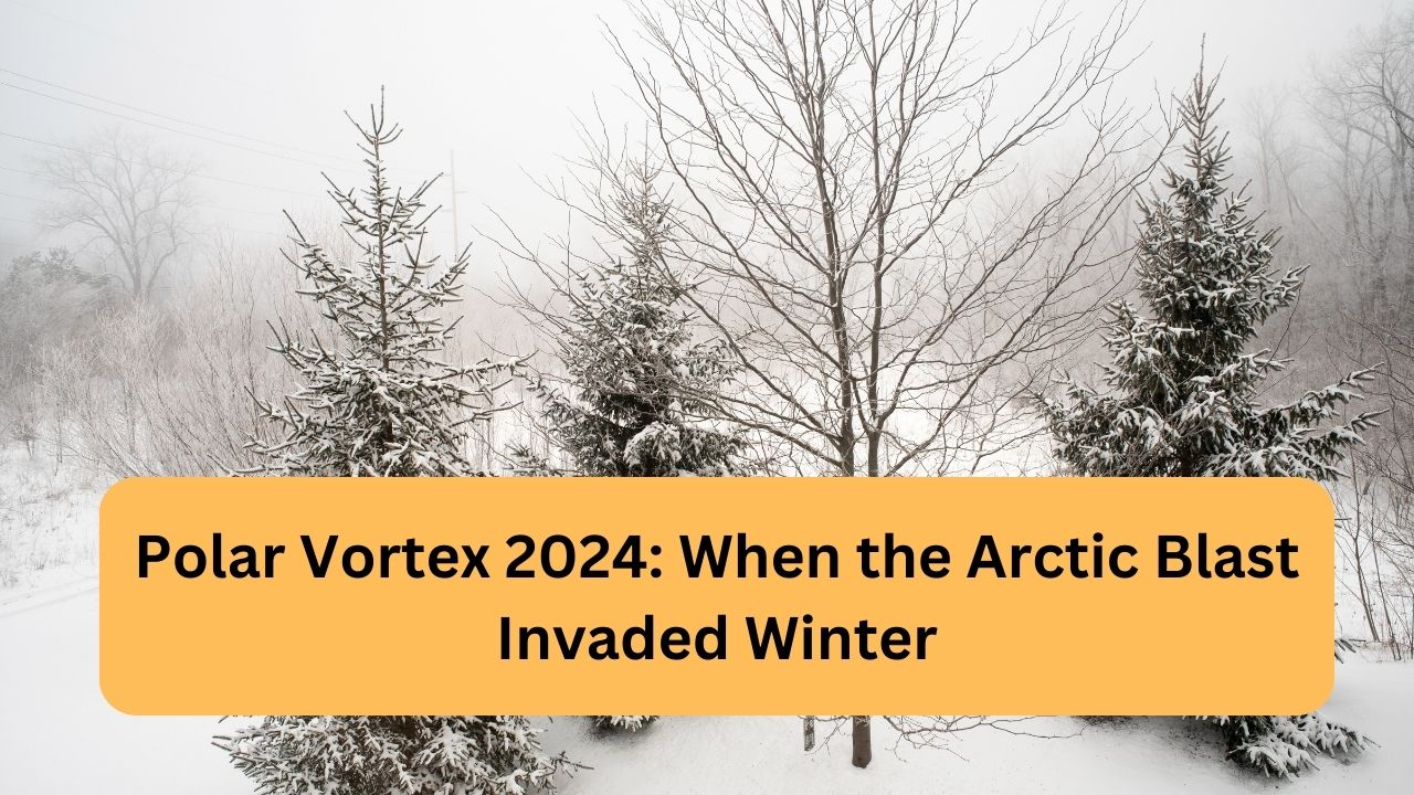 Polar Vortex 2024 When the Arctic Blast Invaded Winter Easy Life