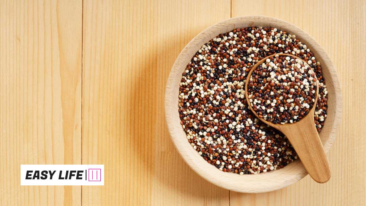 High Protein Vegan Diet Plan Pdf 2024 Easy Life