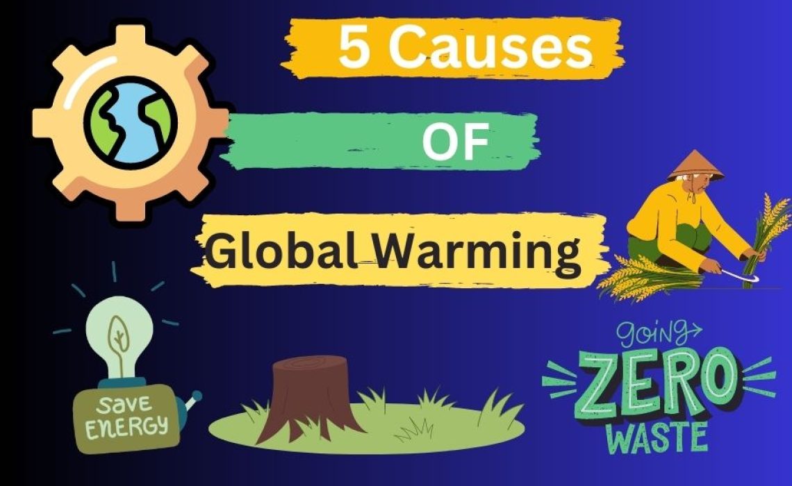 5 Causes of Global Warming 