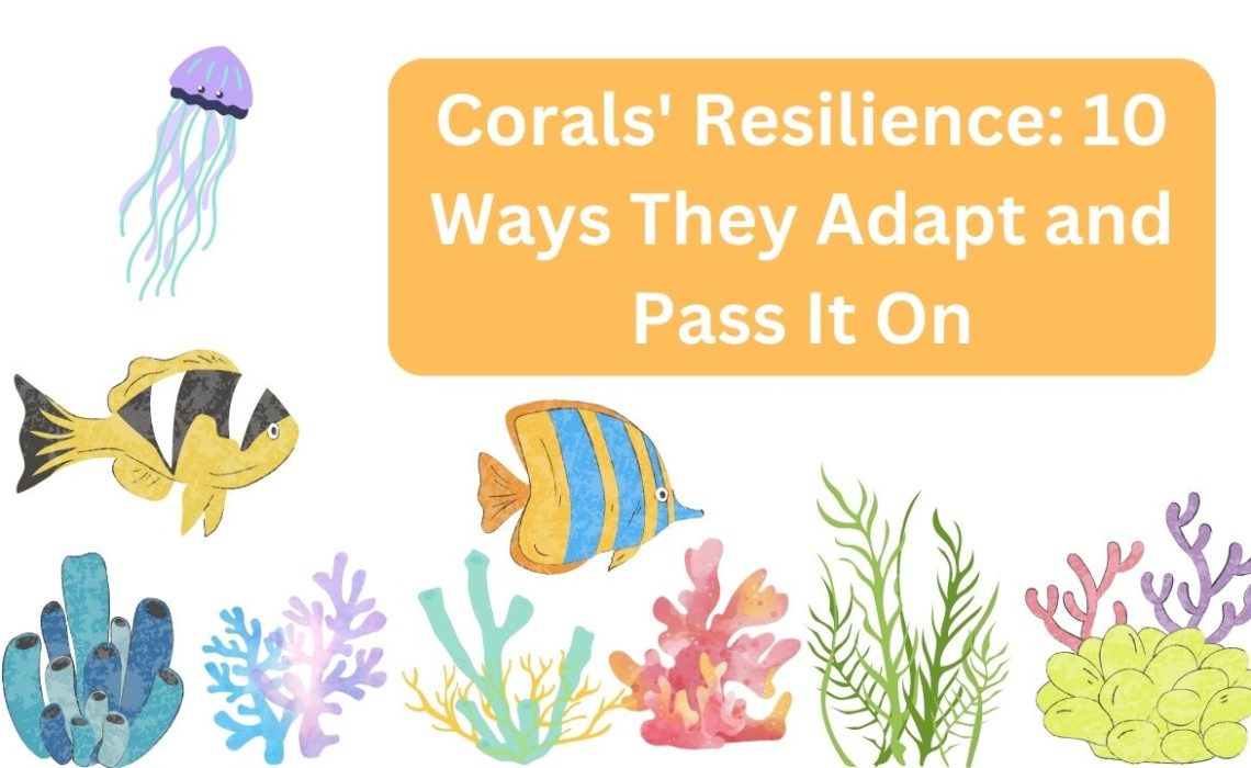 Corals' Resilience:
