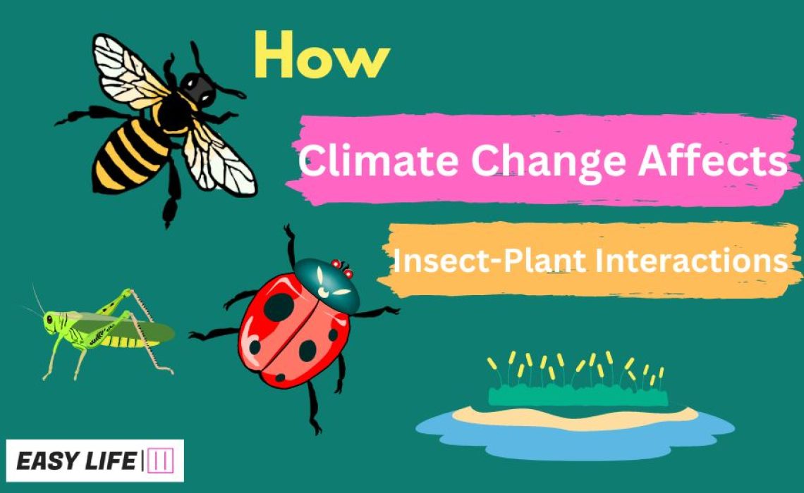 Climate Change Affects Insect-Plant Interactions