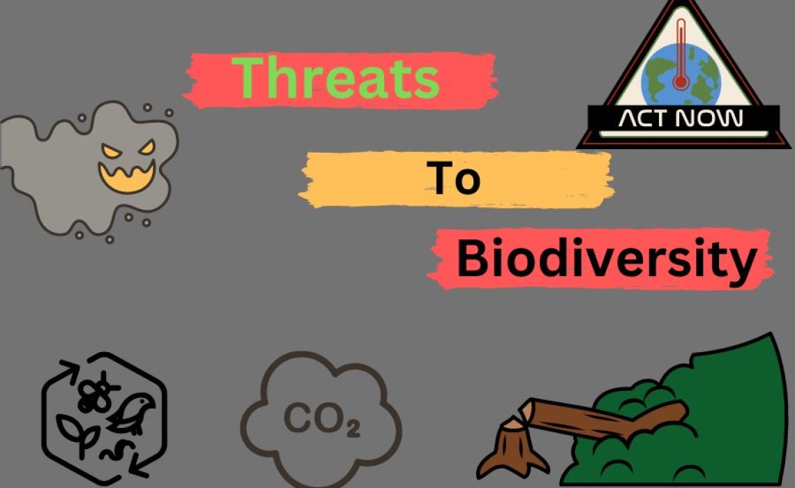 Five Threats to Biodiversity