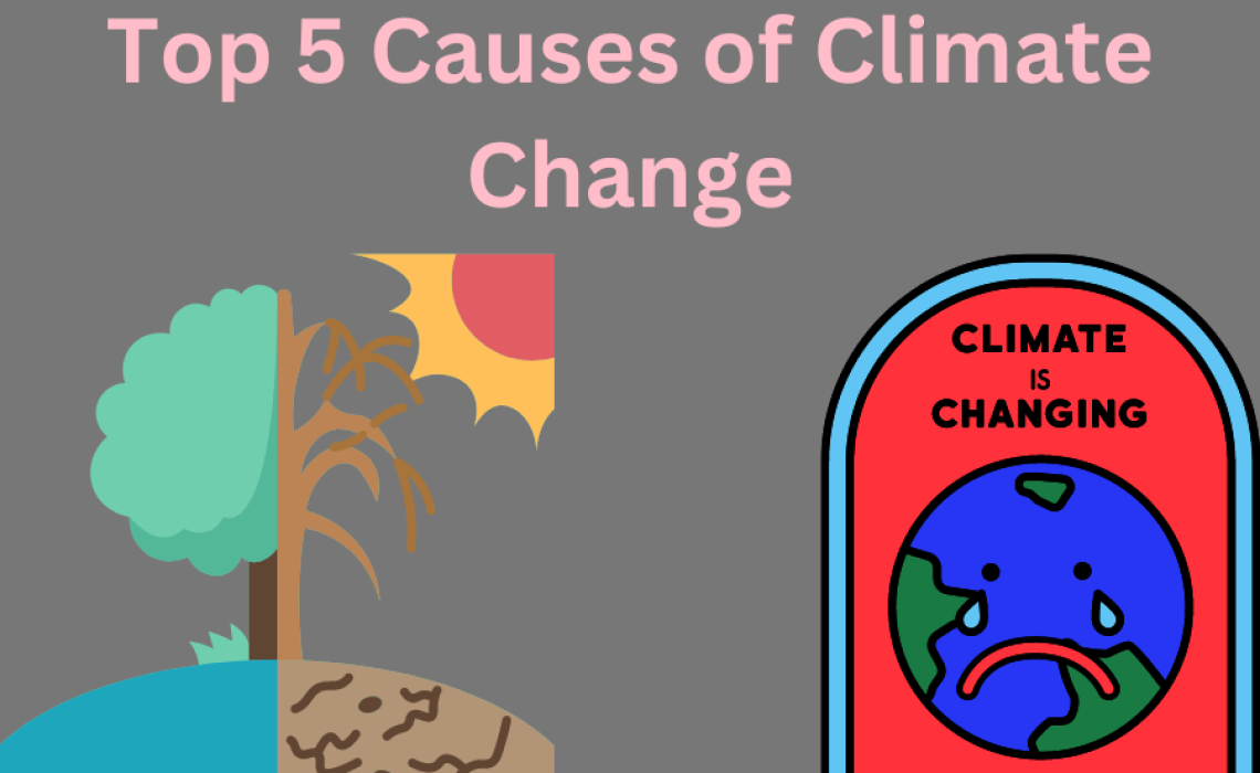 Top 5 Causes of Climate Change
