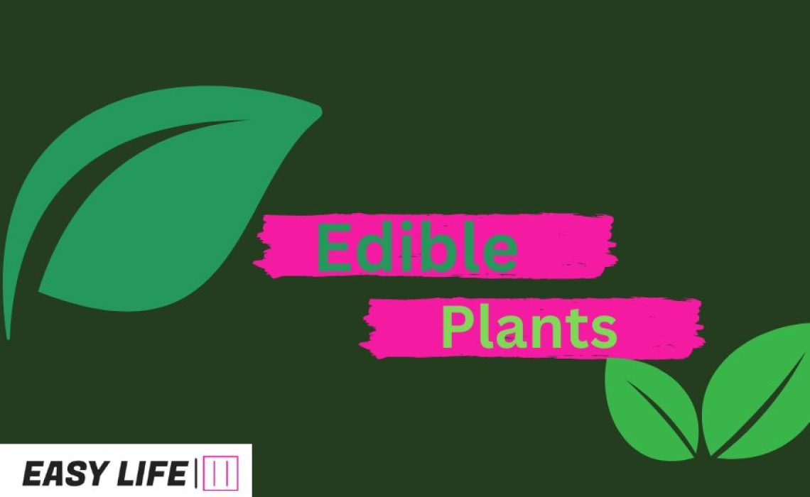 What Are 5 Edible Plants A Beginner's Guide to Wild Foraging (5)